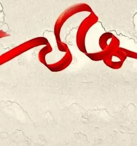 جزئیات شهادت یک محیط‌بان در کهگیلویه و بویر احمد