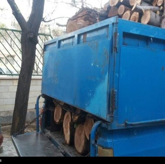 دستگیری قاچاقچیان چوب در بدر و پریشان؛ 3 تن چوب توقیف شد