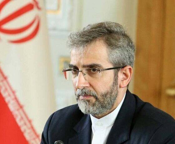 دیدار علی باقری با معاون وزیر خارجه روسیه