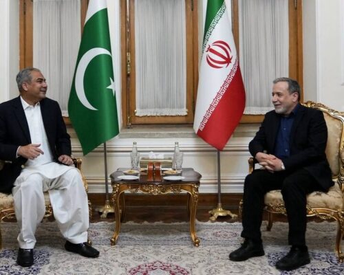 دیدار وزیر کشور پاکستان با عراقچی
