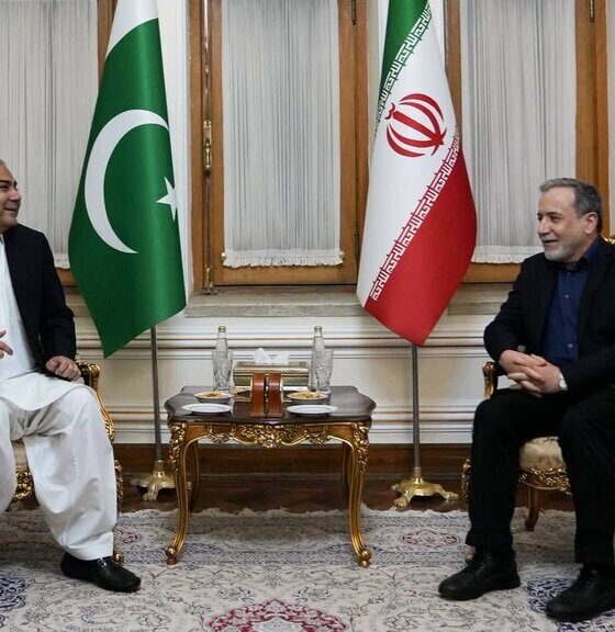 دیدار وزیر کشور پاکستان با عراقچی