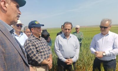 راه‌اندازی 2 هزار مزرعه الگویی برای 5 محصول استراتژیک در کشور