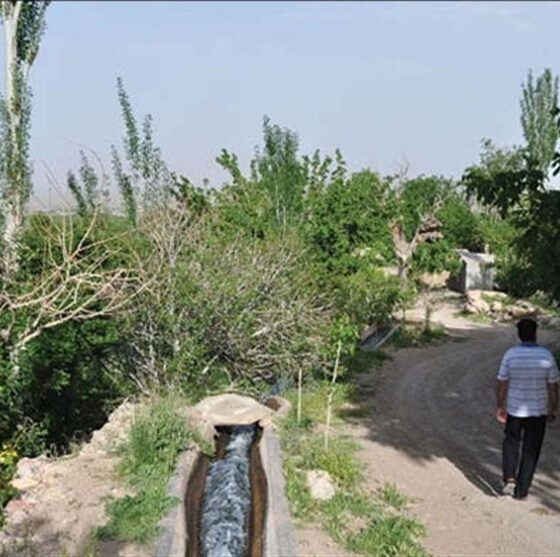رقص شکوفه‌ها در «نوغاب»؛ روایت تسنیم از بیداری طبیعت پس از خشکسالی