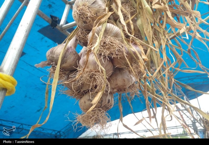 اخبار استان مازندران , اخبار ساری , 