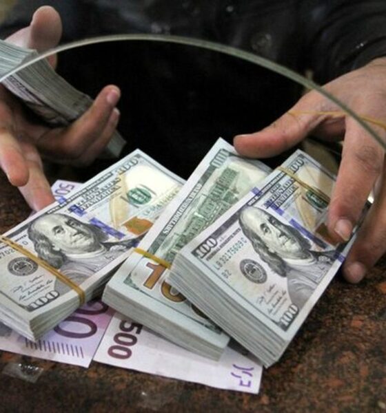 فروش دلار توسط شعب برخی بانک‌ها / بانک مرکزی پس از شوک قیمتی به بازار دست به کار شد