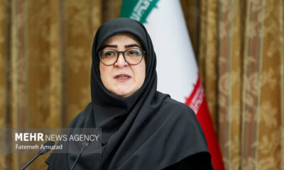 مهاجرانی: نخستین محموله ۱۰۰ هزار تنی محصولات کشت فراسرزمینی وارد شد