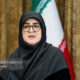 مهاجرانی: نخستین محموله ۱۰۰ هزار تنی محصولات کشت فراسرزمینی وارد شد