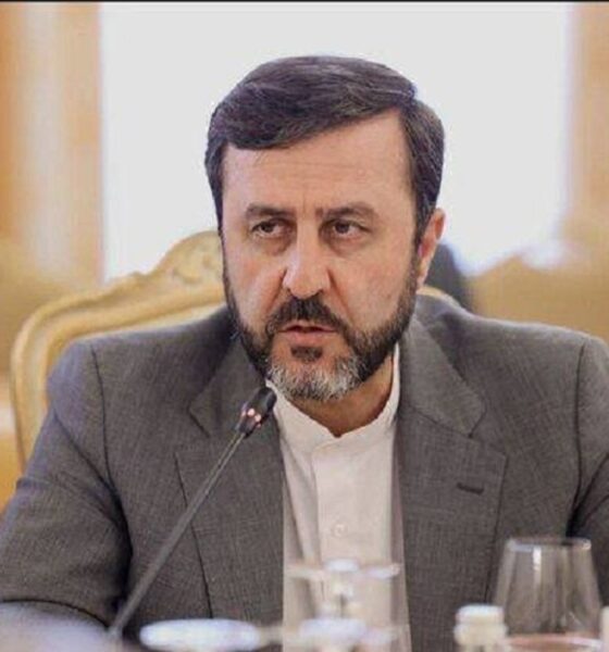 هشدار غریب آبادی به انگلیس و فرانسه درباره اعزام ناو