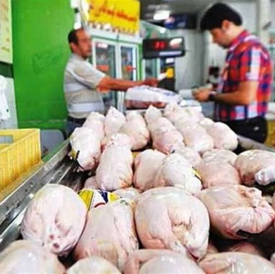 پشت‌پرده گرانی مرغ چیست؟