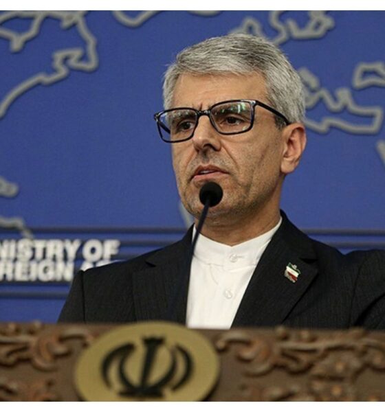 پیام متفاوت سخنگوی وزارت امور خارجه در شبکه ایکس + عکس
