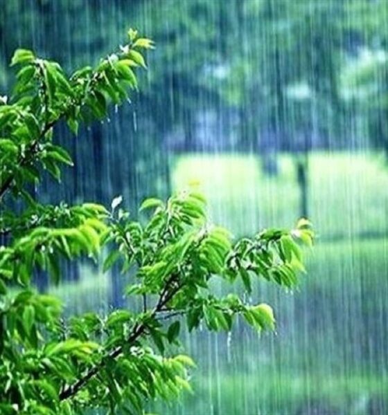 پیش بینی وضعیت جوی در روزهای میانی هفته آینده