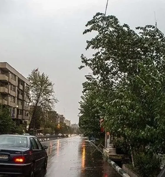 پیش‌بینی هواشناسی تهران در ۲۴ ساعت آینده/ بارش باران شدید در راه پایتخت