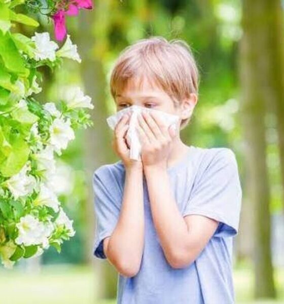 چرا افراد به آلرژی مبتلا می‌شوند؟