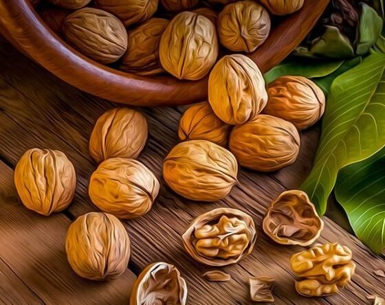 چرا باید گردو را به برنامه روزانه اضافه کنیم؟