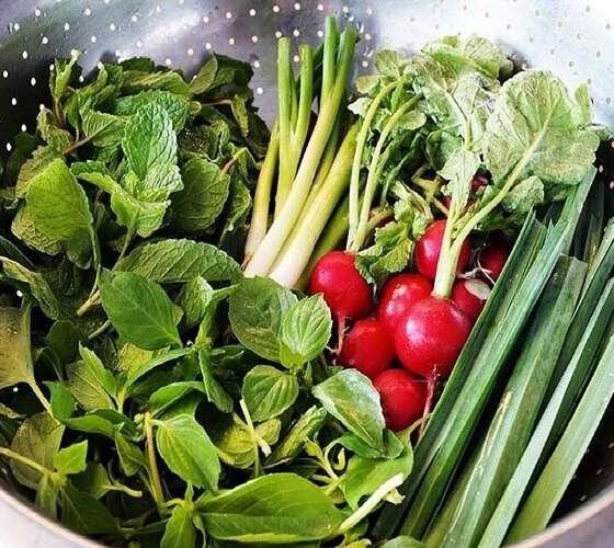 چطور سبزی‌ها را در هوای گرم سالم و تازه نگه داریم؟