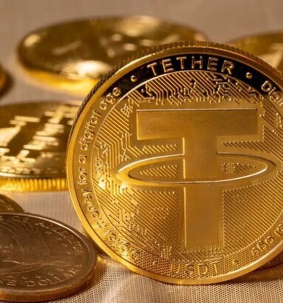 کاهش خرید طلای تتر در بهار ۲۰۲۶/ ذخایر طلا به ۱۵۴ تن رسید