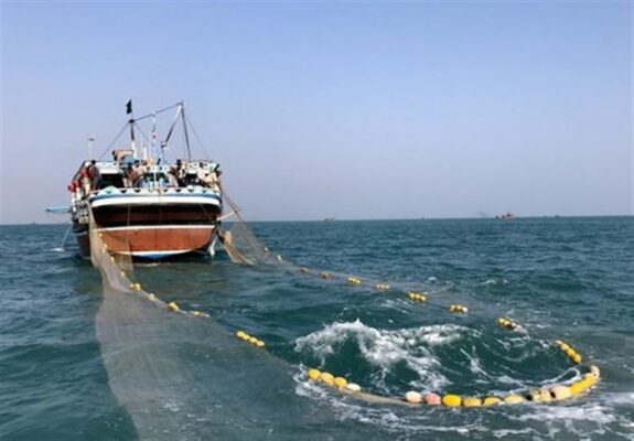 کشف 4.5 تُن ماهی ساردین فاقد مجوز در سواحل جنوبی استان بوشهر