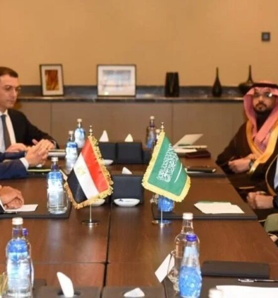 گفت‌وگوی وزیران خارجه مصر و عربستان درباره جنگ در منطقه