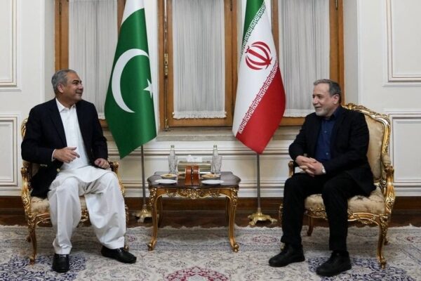 گفتگوی وزیر کشور پاکستان با عراقچی درباره آخرین وضعیت امنیتی منطقه گفتگوی وزیر کشور پاکستان با عراقچی درباره آخرین وضعیت امنیتی منطقه