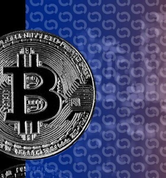 آخرین وضعیت بازار رمزارزها در جهان / فعالیت شبکه بیت‌کوین اوج گرفت