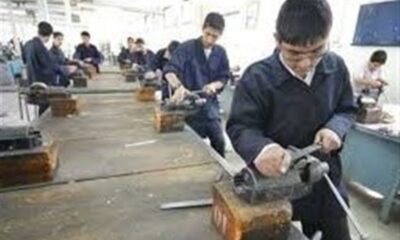ارتقای مهارت؛ کلید بازگشت به چرخه اشتغال