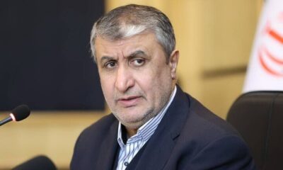 اسلامی: واحدهای دوم و سوم نیروگاه اتمی بوشهر در حال احداث است