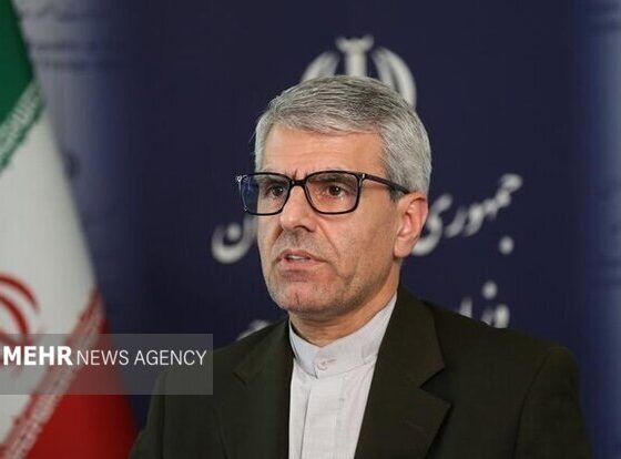 بقائی: مبنای کار مذاکرات «تعهد در مقابل تعهد» است