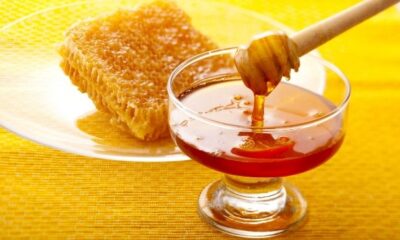 بهترین غذا برای ورزش و ریکاوری بدن که پژوهشگران بر آن تاکید می کنند