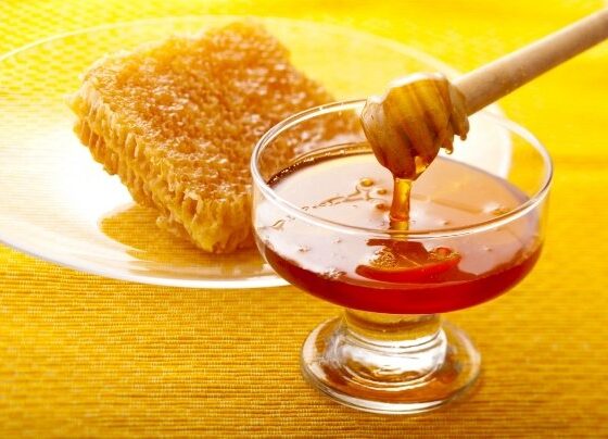 بهترین غذا برای ورزش و ریکاوری بدن که پژوهشگران بر آن تاکید می کنند