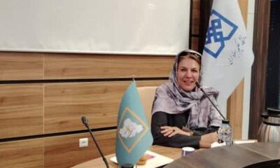 تأثیر هیجان بر تصمیم‌گیری: تحلیل روان‌شناختی و عصب‌شناختی