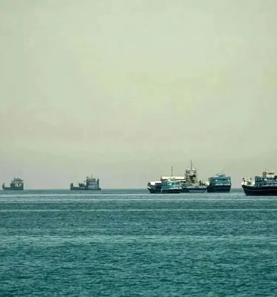 تصمیم فوری سازمان دریانوردی پس از حادثه در دریای عمان