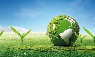 حفاظت از محیط زیست: زمین تنها خانه ماست/ اینفوگرافیک