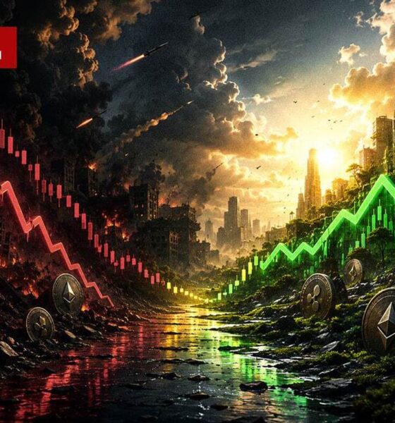 داستان ۱۰۹ روز پرالتهاب بازار رمزارزها | بزرگ‌ترین و سریع‌ترین تکانه بازار