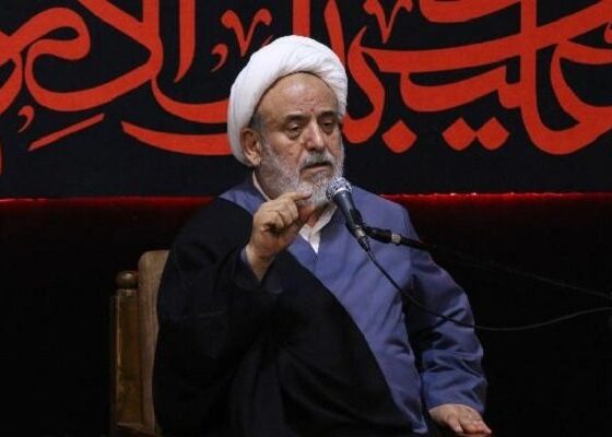 راز زنده ماندن مومنان در برزخ؛ هدایت، مشروط به ولایت است