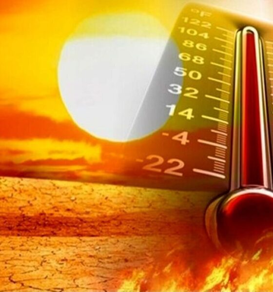 رکورد گرمای جهان در ایران شکست+ عکس
