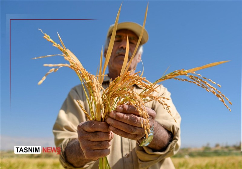 اخبار استان مازندران , اخبار ساری , نظام مسائل استان , نظام مسائل استان مازندران , 
