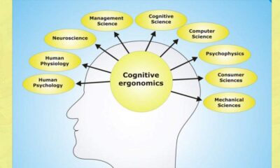 شناخت (Cognition) چیست ؟