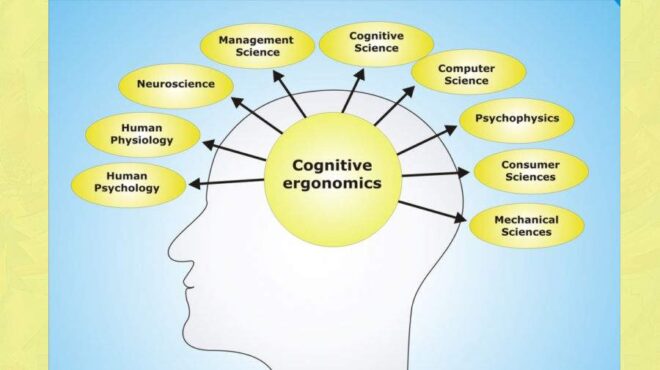 شناخت (Cognition) چیست ؟ شناخت (Cognition) چیست ؟