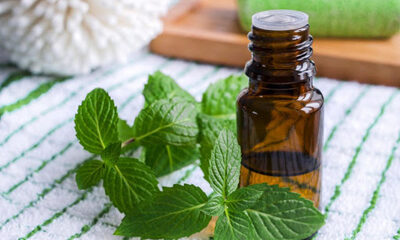 طرز تهیه عرق نعنا خانگی