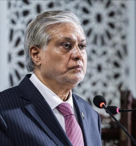 علت تعویق مذاکرات ایران و آمریکا از زبان وزیر خارجه پاکستان / اختلافات جدی است؟