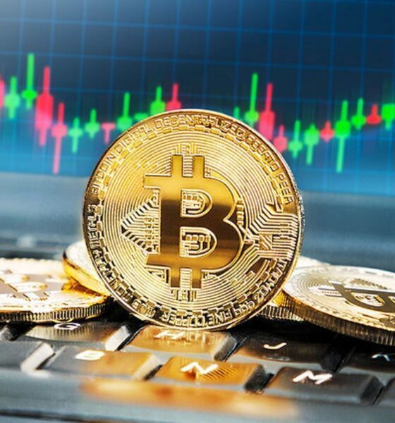 قیمت بیت کوین و ارز‌های دیجیتال امروز یکشنبه ۷ تیر ۱۴۰۵ + جدول