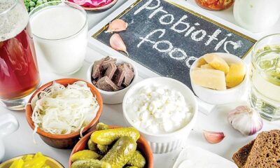 مصرف پروبیوتیک رفلاکس معده را درمان و از ابتلا به این سرطان پیشگیری می‌کند