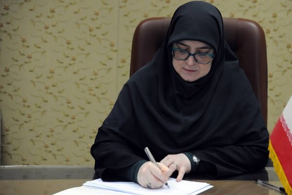مهاجرانی: میدان و دیپلماسی در کنار هم از ایران دفاع می‌کنند