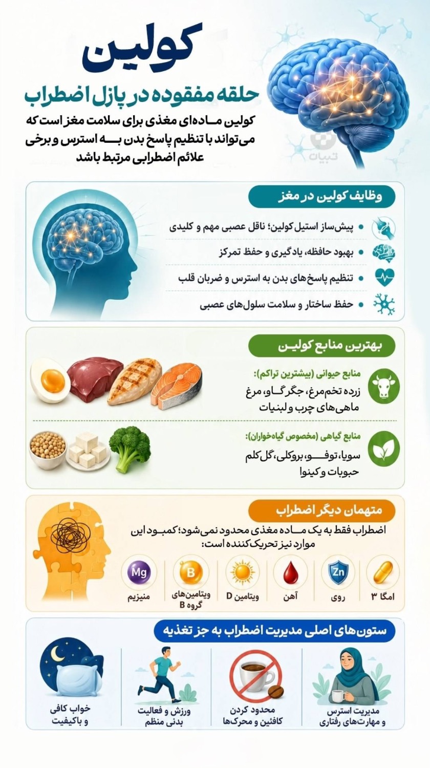 نقش پنهان کولین در مدیریت اضطراب+ اینفوگرافی