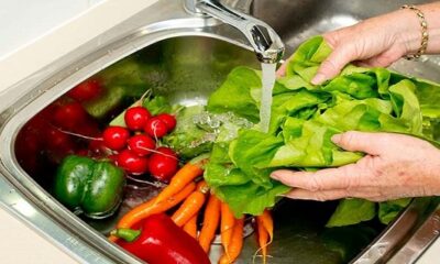 نکات مهم یک فوق تخصص گوارش درباره نحوه مصرف کردن میوه و سبزیجات در تابستان