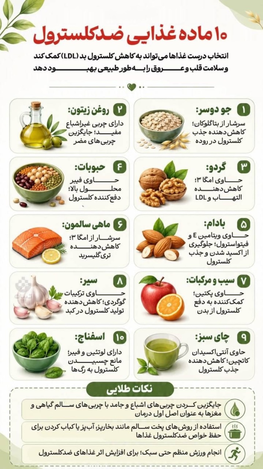 ۱۰ ماده غذایی ضدکلسترول+ اینفوگرافی