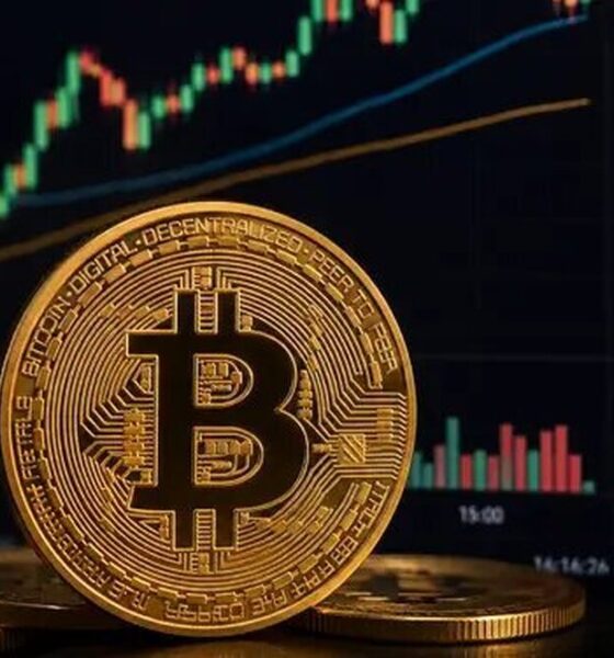 آخرین وضعیت بازار رمزارزها / بیت‌کوین دوباره سقوط کرد