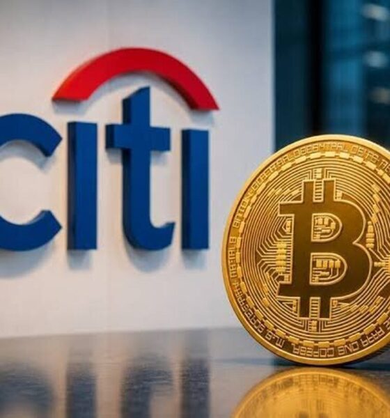 آخرین وضعیت بازار رمزارزها در جهان / عوامل فشار بر بازار رمزارزها افزایش یافت