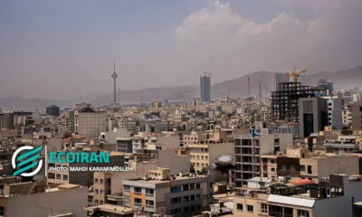 بازار میکروآپارتمان‌ها؛ کوچک‌ترین خانه‌های تهران با چه قیمتی فروخته می‌شوند؟
