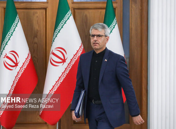 بقائی: ملت ایران بیش از هر زمانی متحد و مصمم است